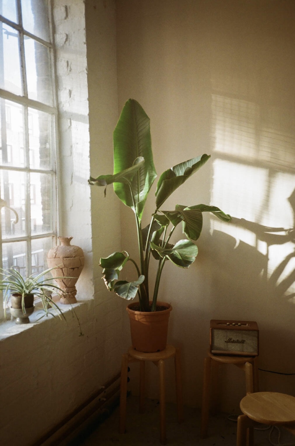 Studio Rhei, pottery studio in Hackney E8
